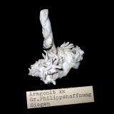 Aragonite (var. flos ferri)
60 x 55 x 45 mm
(Autor: Andreas Gerstenberg)