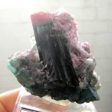 Elbaite
4,5 x 4,4 x 3,4 cm
(Autor: Anísio Cláudio)