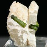 Elbaite on quartz
Specimen height 5 cm, largest tourmalines 2 cm
(Autor: Tobi)