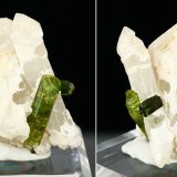 Elbaite on quartz
Specimen height 5 cm, largest tourmalines 2 cm
(Autor: Tobi)