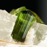 Elbaite on quartz
Crystal size ~ 2 cm
(Autor: Tobi)