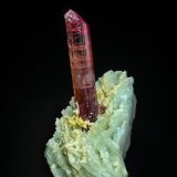 Elbaite (variety rubellite), Albite
9.6 x 4.6 cm
(Autor: am mizunaka)