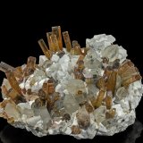 Elbaite, Quartz, Feldspar Group
8.9 x 7.2 cm
(Autor: am mizunaka)
