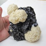 Barite on Sphalerite
Specimen size 15 cm, largest barite "ball" 6,5 cm
(Autor: Tobi)
