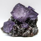 Fluorite, Sphalerite
Specimen size 7,5 cm, largest fluorite 3 cm
(Autor: Tobi)