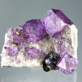 Fluorite, sphalerite
Specimen size 7 cm, largest crystal 2 cm
(Autor: Tobi)