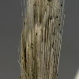 Elpidite
H:5cm x W:0.8cm x D:0.6cm
(Autor: Adrian Pripoae)