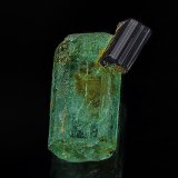 Beryl (variety emerald), Rutile
1.1 x .55 cm
(Autor: am mizunaka)