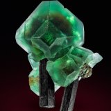 Fluorite, Schorl
Specimen height 3,5 cm
(Autor: Tobi)