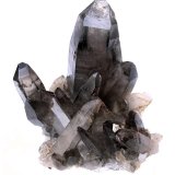 Smoky Quartz
Specimen height 13 cm, main quartz 10 cm
(Autor: Tobi)