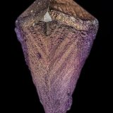 Fluorite
6.8 x 3.8 cm
(Autor: am mizunaka)
