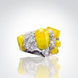 Ettringite
24 x 15 x 13 mm
(Autor: TamaHiguchi)