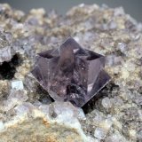 Fluorite
crystal is 2.2 cm across
(Autor: Jesse Fisher)