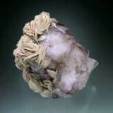 Fluorite with Barite
7x6x5 cm overall size
(Autor: Jesse Fisher)