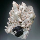 Fluorite, Quartz, Fluorapatite, Chalcopyrite
10x7x5 cm overall size
(Autor: Jesse Fisher)