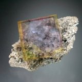 Fluorite
6x4x4 cm overall size
(Autor: Jesse Fisher)