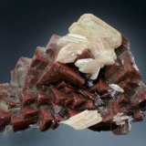 Fluorite with Barite
12x7x4 cm overall size
(Autor: Jesse Fisher)