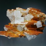 Fluorite with Barite
10x6x5 cm overall size
(Autor: Jesse Fisher)