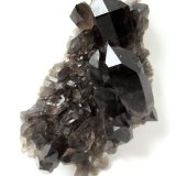 Quartz (variety smoky)
Specimen height 14 cm, largest smoky quartz crystal 6,5 cm
(Autor: Tobi)