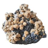 Sphalerite, Ankerite, Calcite
Specimen size 15 cm
(Autor: Tobi)