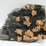 Dolomite, Hematite
Specimen size 12 cm, largest dolomite crystals 7 mm
(Autor: Tobi)