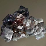 Fluorite
5.6 x 7.6 cm
(Autor: Michael Shaw)