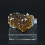 Fluorite and minor Baryte
4 cm
(Autor: Philippe Durand)