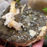 Fluorite, Baryte, Chalcopyrite
11.5 x 8 cm
(Autor: Deyu)