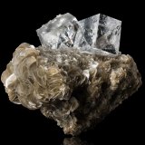 Fluorite
16.5 x 10 x 15 cm / main crystal: 7.3 cm
(Autor: MIM Museum)
