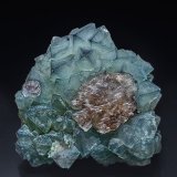 Fluorite
5.4 x 5.2 cm
(Autor: am mizunaka)