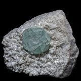 Fluorite, Quartz
7.7 x 7.0 cm
(Autor: am mizunaka)
