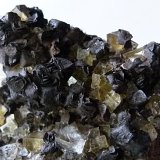 Fluorite (yellow), Goethite after Siderite
6x6x4.5cm 160g
(Autor: captaincaveman)