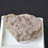 Fluorite
3x3cm
(Autor: captaincaveman)
