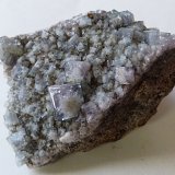 Fluorite
6 x 4 x 2.5cm
(Autor: captaincaveman)