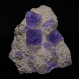 Fluorite
7.6 x 6.4 cm
(Autor: am mizunaka)