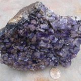Fluorite
18cm
(Autor: colin robinson)