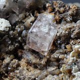 Fluorite
6mm
(Autor: colin robinson)