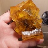 Fluorite
Specimen size 10 cm, largest crystals 4 cm
(Autor: Tobi)