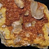 Calcite on Dolomite
14 cm x 14 cm.   the calcites are 1 cm - 4 cm
(Autor: Bob Harman)