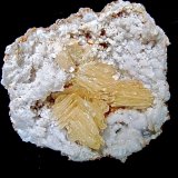 Baryte on Quartz
Specimen is 8 cm. Baryte blades are up to 2.5 cm.   The whole baryte area is 4.6 cm
(Autor: Bob Harman)