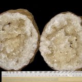 Calcites on Quartz
geode is 14 cm x 12 cm. Calcites are up to 2.2 cm
(Autor: Bob Harman)
