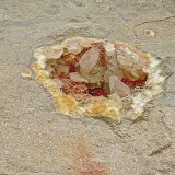 Calcite on Dolomite
geode is about 18 cm   calcites are 6 - 7 cm
(Autor: Bob Harman)