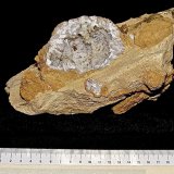 Quartz
The geode is about 7 cm max dimension.
(Autor: Bob Harman)