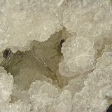 Millerite on Quartz
acicular sprays up to 3.0 cm in a 10.0 geode
(Autor: Bob Harman)