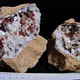Aragonite on Quartz
the diverging aragonite sprays are 2 cm - 3 cm.
(Autor: Bob Harman)