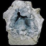 Quartz (variety chalcedony)
11 cm
(Autor: Bob Harman)
