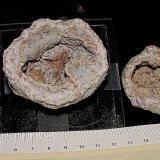 Millerite and Pyrite
(Autor: Bob Harman)
