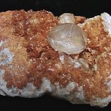 Calcite on Dolomite
The specimen is 8 cm. The Calcite crystal is 1.8 cm
(Autor: Bob Harman)