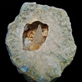 Calcite and Dolomite on Quartz
8.5 cm geode with a 5 cm cavity containing a 3.6 cm calcite surrounded by dolomite and quartz crystals
(Autor: Bob Harman)