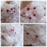Almandine Garnet
1.5/1 mm
(Autor: mineralenzo)